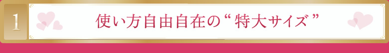 使い方自由自在の“特大サイズ”